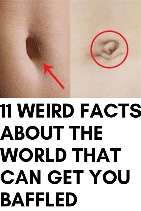 11 Weird Facts About The World That Can Get You Baffled Weird Facts