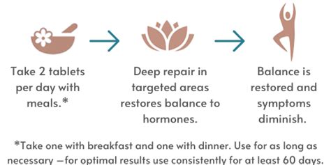 Herbal Equilibrium — Womens Health Network