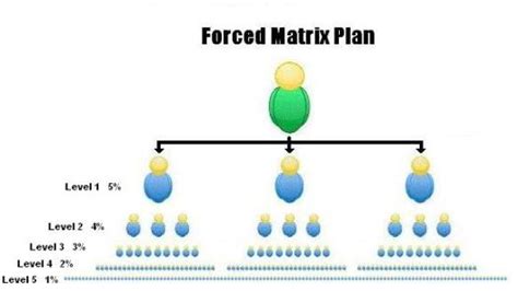 Mlm Software Provider Mlm Matrix Plan Choosing The Best Mlm
