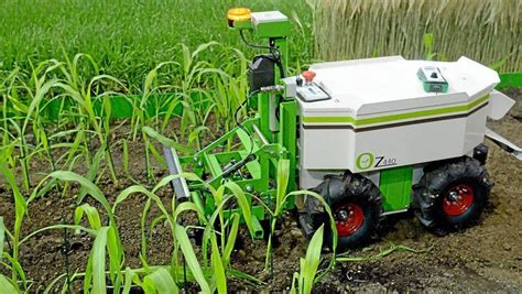 Innovation Les Robots Agricoles à Lassaut Des Mauvaises Herbes