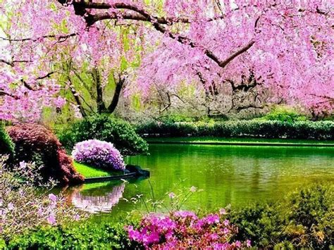 Pretty In Pink Springtime Pictures Beautiful Gardens