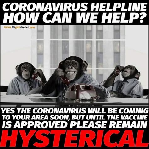 At memesmonkey.com find thousands of memes categorized into thousands of categories. Coronavirus vaccine meme — Jennifer Margulis