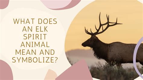 What Does An Elk Spirit Animal Mean And Symbolize Youtube