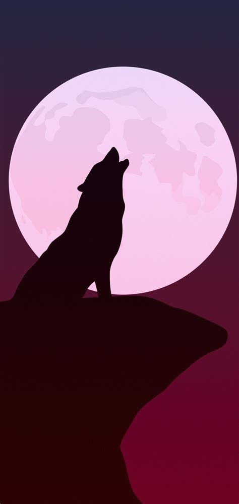 Pink Wolf Wallpapers Wallpaper Cave