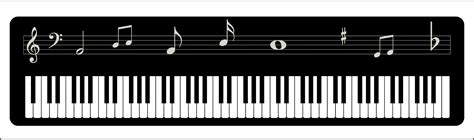 Key Clipart Piano Key Piano Transparent Free For Download On