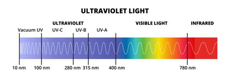 Black Light Vs Uv Light Whats The Difference Between Them
