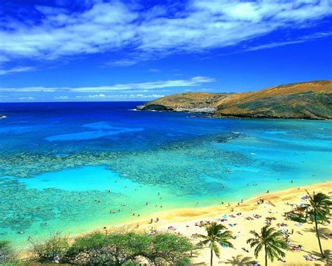 Trivago.com has been visited by 100k+ users in the past month Honolulu Hawaii Beach Wallpaper : Wallpapers13.com
