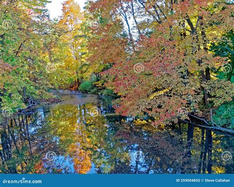 Kinderhook Creek Reflections Fall Sugar Maple Trees Stock Photo Image