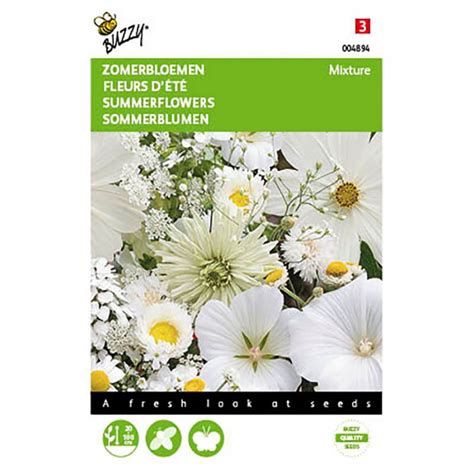 Classic Fantastic Centaurea Cornflowers Seeds • Tuinzadeneu