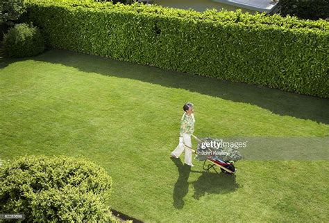 Mature Femme Faisant Yard De Travail Photo Getty Images