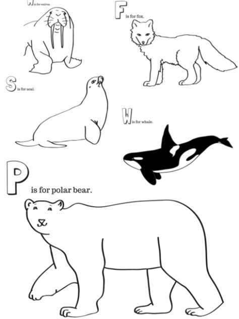 Arctic Animals Printable Coloring Pages Miniature Masterminds