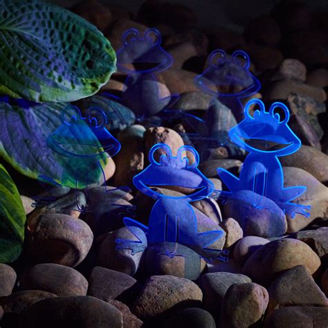 Garden Décor Ornament Stakes Set Of 5 Happy Frogs Plentyshop Lts