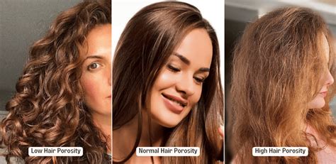 How To Grow High Porosity Hair In 12 Steps 2023
