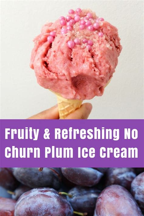 Summer Recipe No Churn Plum Ice Cream Hodgepodgedays Plum Ice
