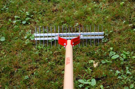 Dethatching is performed when a lawn is beginning to thin out. How to Prepare Your Lawn for the New Year - Lawnstarter