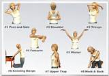 Muscle Strengthening Exercises For Elderly