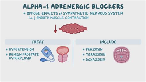 Alpha 1 Adrenergic Blockers Nursing Pharmacology Osmosis Video Library