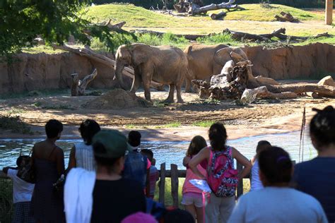 Dallas Zoo Tips For Dollar Day This Thursday July 20