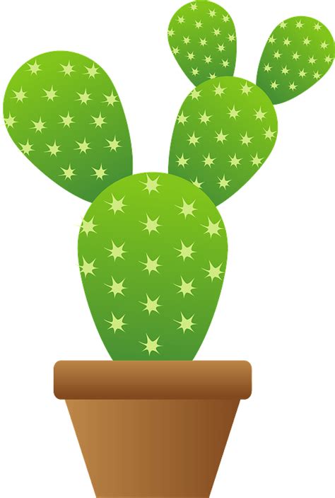 Cactus Plant In A Brown Pot Clipart Free Download Transparent Png