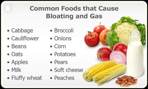 What Vegetables Cause Gas The Garden
