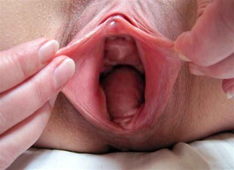 Open Wide Cum Inside Its Gape Time アダルト画像、セックス画像 3873053 Pictoa
