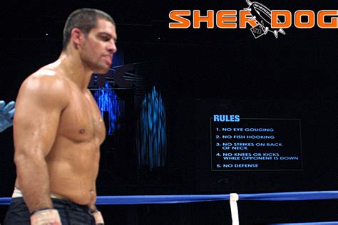 Daniel Gracie Mma Stats Pictures News Videos Biography