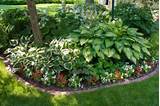Flower Bed Plants For Shade Pictures