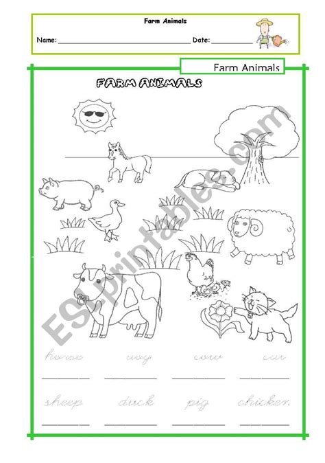 Farm Animals Tracing Handout Esl Worksheet By Petitehelene