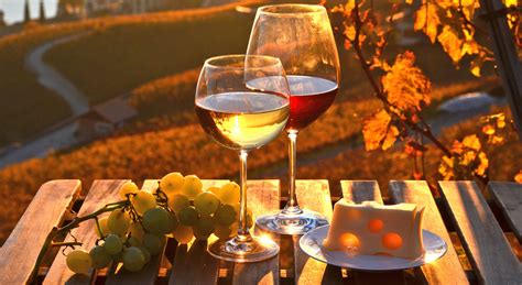 Wineries In Northern Va The Best Options In Wine Country