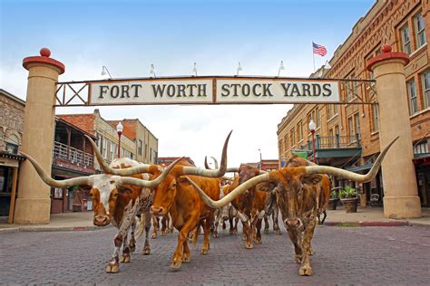 8 Awesome Things To Do In Fort Worth Texas Wander Mum