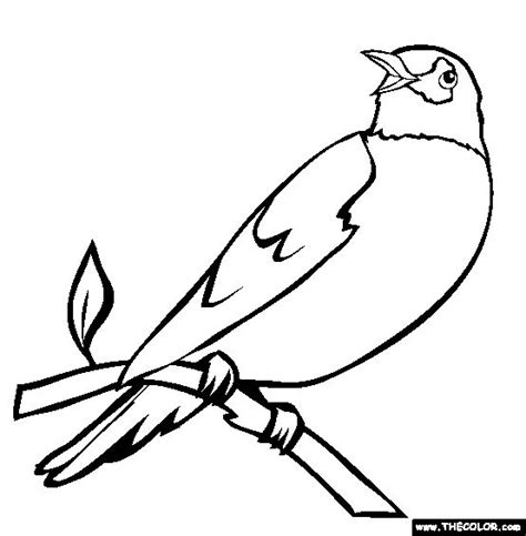 A robin colouring printable for young children to print out and colour in, quite a few sections on this colouring page. Perched Robin Coloring Page | Free Perched Robin Online ...