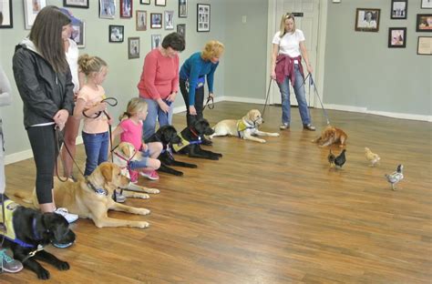 Puppy training classes not only give you a well behaved dog, they also give you an unbreakable bond to your dog. Service Dog Training | Atlanta Dog Training | CPT Training