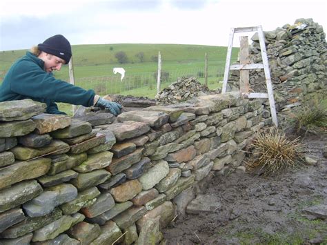 The downside is that building a freestanding stone wall is backbreaking work. Environmental Conservation Apprenticeship (England) - NLBC