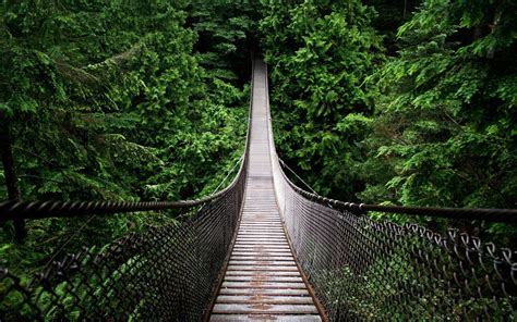 Rainforest Bridge Wallpaper 24477 природа Pinterest Bridge