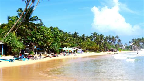 Mirissa Beach Sri Lanka Marriedtoourbackpacks