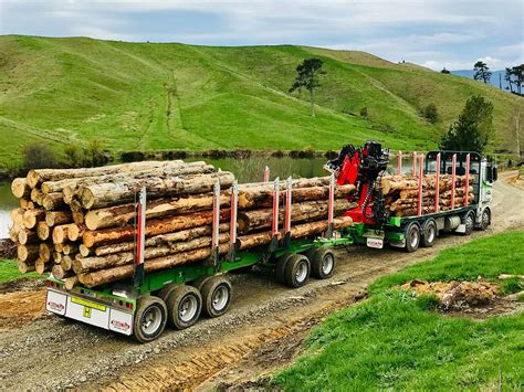 international logging truck mills tui