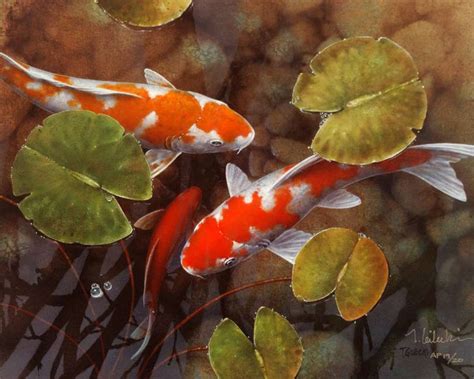 Print Gallery Archives Koi Fish Paintings By Terry Gilecki