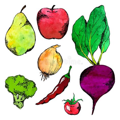 Vegetable Fruit Hand Drawn Doodle Isolated Set Vector Stock Vector