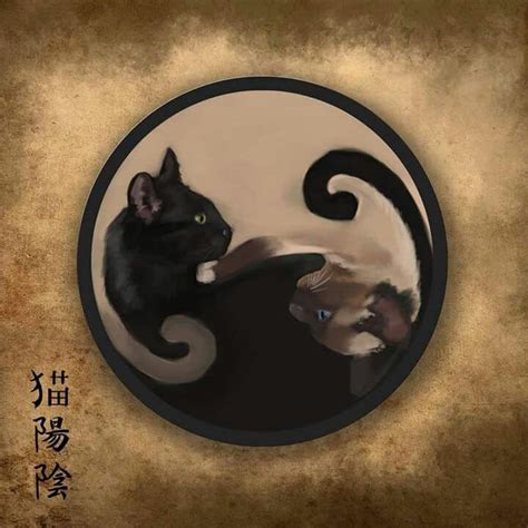 Yin Yang Cats Pintura De Gato Criaturas Míticas Gatos