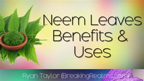 Neem Leaves: Health Benefits and Uses | Neem leaf benefits, Neem benefits, Neem