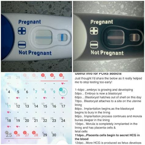 Plan B Missed Period Negative Pregnancy Test