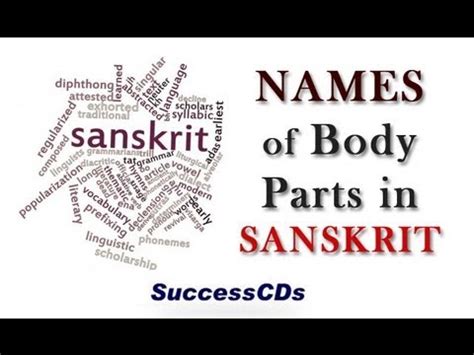 Learn tamil through english with simple. Name of Body Parts in Sanskrit - YouTube