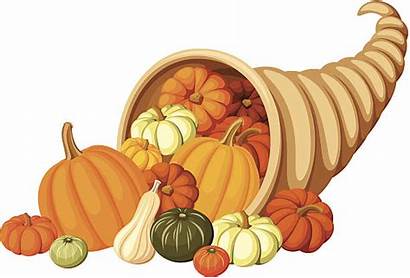 Cornucopia Clip Illustration Pumpkins Thanksgiving Vector Autumn