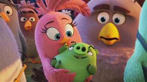 The Angry Birds Animated Movie Hd Movies K Wallpapers 16695 Hot Sex Picture