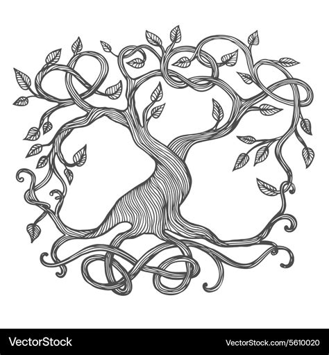Celtic Tree Of Life Royalty Free Vector Image Vectorstock