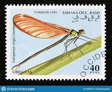 Sello Postal Cinderella 1995 Hermosa Demoiselle Calopteryx Virgo