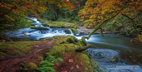 8 Fantastic Fall Photography Tips