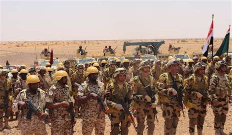 Sudan Egypt Wrap Up Joint Military Drills Sudan Tribune