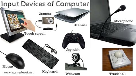See more ideas about computer video games, games, video games. 10 examples of input devices of computer. Guess some and ...