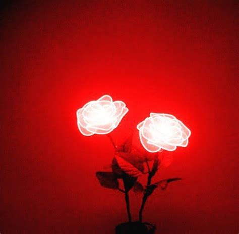 Red Neon Aesthetic Rose References Mdqahtani